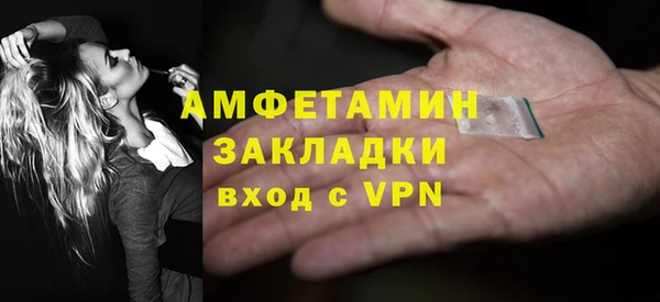 мет Алексин