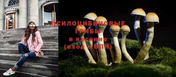 кокаин премиум Алексеевка