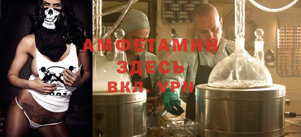 мет Алексин